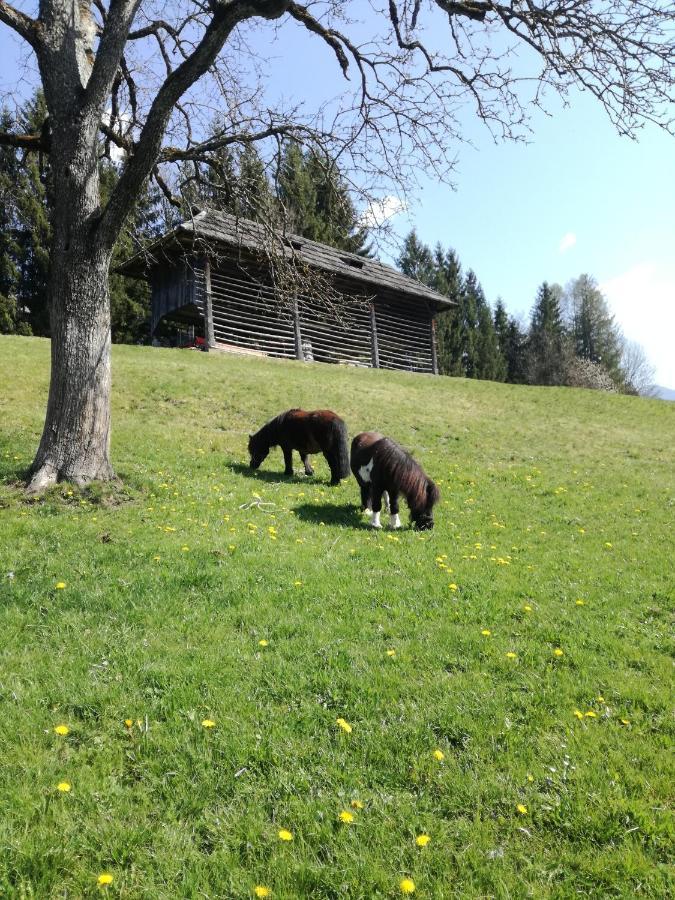 Haus Oswald Am See Hermagor-Pressegger See Dış mekan fotoğraf