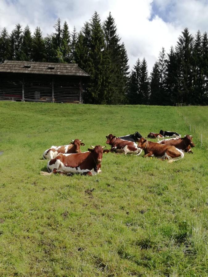 Haus Oswald Am See Hermagor-Pressegger See Dış mekan fotoğraf
